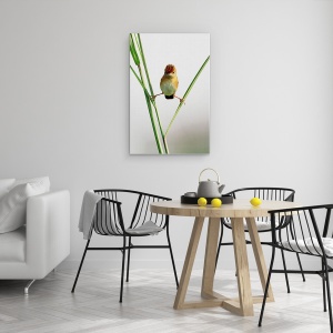 Tablou canvas - Maestru Kung Fu, Umor, Pasare, Simplu, Jakarta, 60 x 90 cm - Img 4