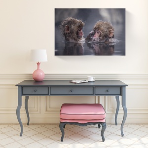 Tablou canvas animale natură cu maimuțe la apă 60x90 cm