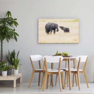 Tablou canvas - Mama Elefant Si Puii, Kenya, Safari, Copil, 50 x 80 cm - Img 4