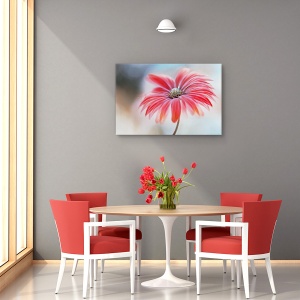 Tablou canvas - Margareta rosie, Flori, Frumusete, Planta, 80 x 120 cm - Img 4