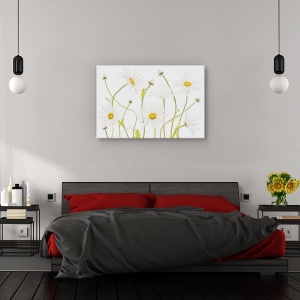 Tablou canvas - Margarete, Natura moarta, Flora, Alb, Verde, 60 x 90 cm - Img 3