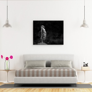 Tablou canvas - Meerkat, Animal, Meerkat, Salbatic, Salbatic, Spionaj, 60 x 75 cm - Img 2