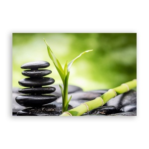 Tablou Canvas - Natura, Frunza, Verde, Pietre, 60 x 90 cm