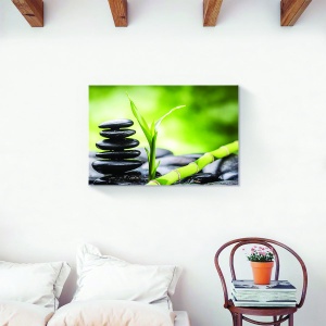 Tablou decorativ natură pe canvas cu frunză verde și pietre