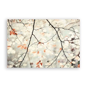 Tablou Canvas - Natura, Frunze, 60 x 90 cm