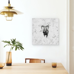 Tablou canvas - Natura, Muflon, Natura, Salbatic, Coarne, Spania, 90 x 90 cm - Img 4
