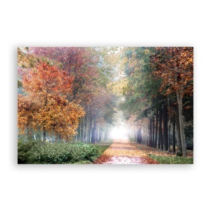 Tablou Canvas - Natura, Peisaj, Frunze, Padure, Toamna, 40 x 60 cm