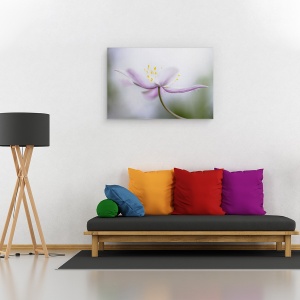 Tablou canvas - Nemorosa, Floare, Roz, Petale, Moale, 80 x 120 cm - Img 2