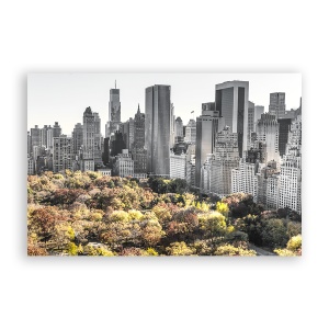 Tablou Canvas - New York, Central Park, 60 x 90 cm