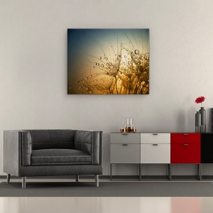 Tablou Canvas - Noapte Tandra,Picatura, Apa, Umed, Bland, 40 x 50 cm - Img 2