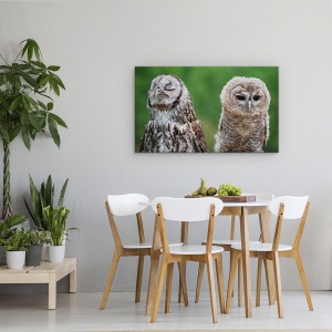 Tablou canvas - Nu Mai Vorbesc Cu Tine, Rosiatic, Bufnita, Pasare, Umor, Vila, 50 x 80 cm - Img 4