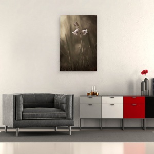 Tablou canvas - O Floare Mica Pe Pamant, Floare, Iarba, Sol, 40 x 60 cm - Img 2
