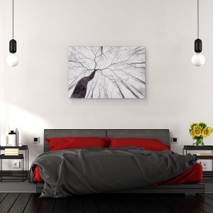 Tablou canvas - O Vedere A Coroanei Copacului, Padure, Fag, Copac, Ramura, 60 x 90 cm - Img 3