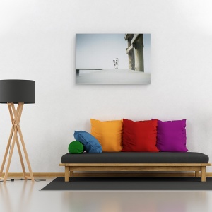 Tablou canvas - O Zi Pe Litoral, Peisaj, Caini, Animale, Plaja, 80 x 120 cm - Img 2