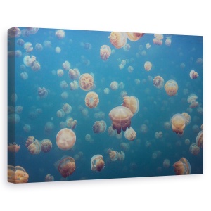 Tablou canvas - Oddworld, Palau, Micronesia, Meduze, Multime, 60 x 90 cm