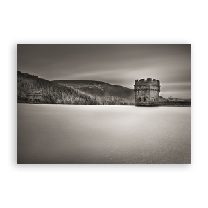 Tablou Canvas - Padure, Monochrom, Bastion, 60 x 90 cm