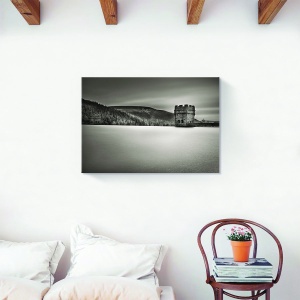 Tablou canvas padure monochrom 60x90 cm