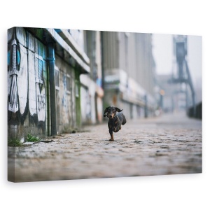 Tablou canvas - Partea Intunecata A Hamburgului, Caini, Industrie, Animale, 80 x 120 cm