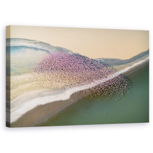 Tablou canvas - Pe Aripile Vantului, Kenya, Africa, Flamingo, Elicopter, Aeriana, 50 x 80 cm