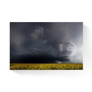 Tablou Canvas - Peisaj, Natura, Flori, Nori, 80 x 120 cm