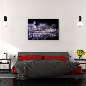 Tablou canvas - Pene Si Picatura ii, Natura Moarta, Apa, 40 x 60 cm - Img 3