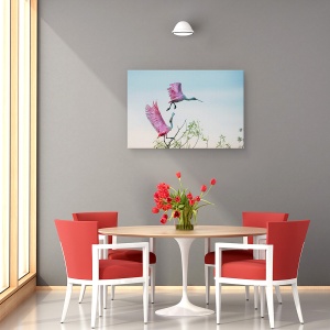 Tablou canvas - Pereche Roz , Mare, Insula, Insula Mare, Texas, Us, 60 x 90 cm - Img 4