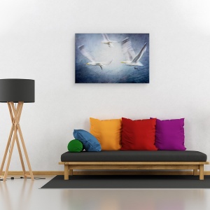 Tablou canvas - Pescarusi, Albastru, Zbor, 80 x 120 cm - Img 2