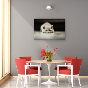 Tablou canvas - Phillip, Adorabil, Animal, Pisica, Dragut, Pufos, 80 x 120 cm - Img 4