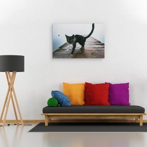 Tablou canvas - Pisicuta, Animal, Pisica, Animale, Pisici, Pet, 40 x 60 cm - Img 2