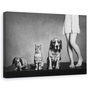 Tablou canvas - Portret De Familie, Prieteni, Alb-Negru, Animale De Companie, 60 x 90 cm