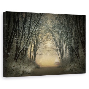 Tablou canvas - Poveste De Iarna, Copaci, Padure, Cale, 40 x 60 cm