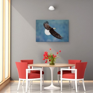 Tablou canvas - Pozand, Vultur, Aripa, Pasare, 40 x 60 cm - Img 4
