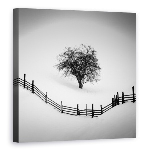 Tablou Canvas - Prins, Copac, Iarna, Zapada, Alb-Negru, 60 x 60 cm