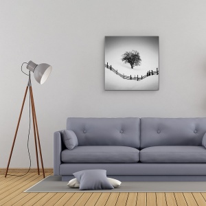 Tablou Canvas - Prins, Copac, Iarna, Zapada, Alb-Negru, 60 x 60 cm - Img 2