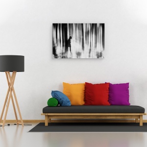Tablou canvas - Prins in Pacat, Contrast, Moale, Femeie, Padure, Persoana, 60 x 90 cm - Img 2