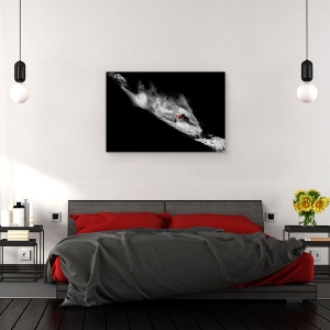 Tablou canvas - Prins In Pacat, Schi, Freeride, Zapada, Tignes, Franta, 60 x 90 cm - Img 3