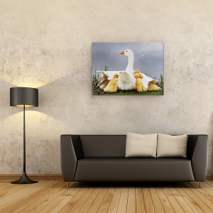 Tablou Canvas - Protectia Mamei, Gasca, Pui, 50 x 70 cm - Img 2