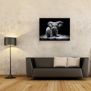 Tablou canvas - Putere, Elefant, Apa, Intuneric, Animal, Big, 50 x 70 cm - Img 2