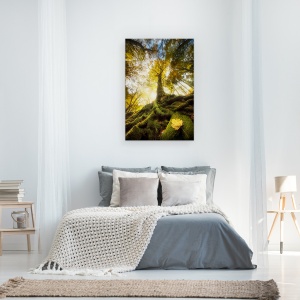 Tablou canvas - Ramas Bun De La O Frunza, Padure, Copac, 40 x 60 cm - Img 3