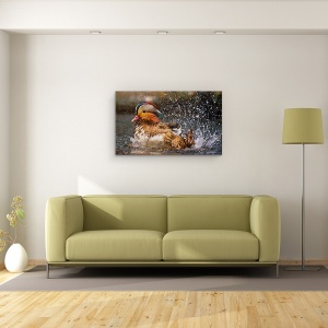Tablou canvas - Rata Mandarina, Pasare, Ud, Strop, 50 x 80 cm - Img 2