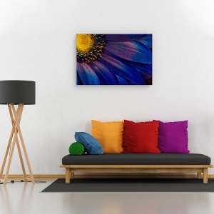 Tablou canvas - Raze albastre, Flori, Islanda, Violet, Petala, 80 x 120 cm - Img 2