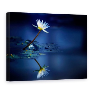 Tablou canvas - Reflectie, Flori, Nufar, Crin, 50 x 70 cm