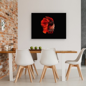 Tablou canvas - Rosu, Animal, Peste, Eleganta, 50 x 70 cm - Img 4