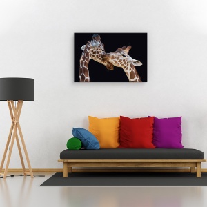 Tablou canvas - Sarutul, Animal, Girafa, Sarut, imbratisare, 40 x 60 cm - Img 2