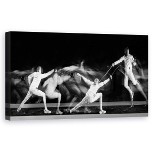 Tablou canvas - Scrima, Gard, Panorama, Sport, 50 x 100 cm