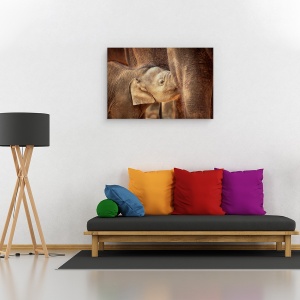 Tablou canvas - Sigur Si Bine Ingrijit, Elefant, Animal, Dragut, 80 x 120 cm - Img 2