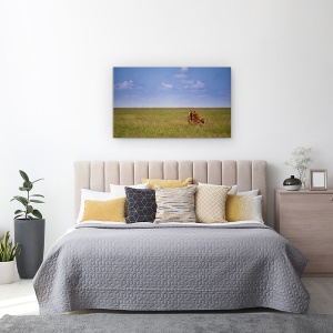 Tablou canvas - Spatele Meu, Salbatic, Natura, Animale, 50 x 80 cm - Img 3