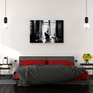 Tablou canvas - Strada Nr. 10, Pisica, Strada, Animal, 60 x 90 cm - Img 3