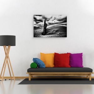 Tablou canvas - Strigatul Pescarusului, Peisaj, Gard, Nisip, Dune, 80 x 120 cm - Img 2