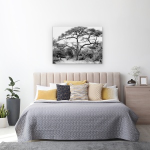 Tablou canvas - Sub Salcam, Salbatic, Natura, Animal, 50 x 70 cm - Img 3